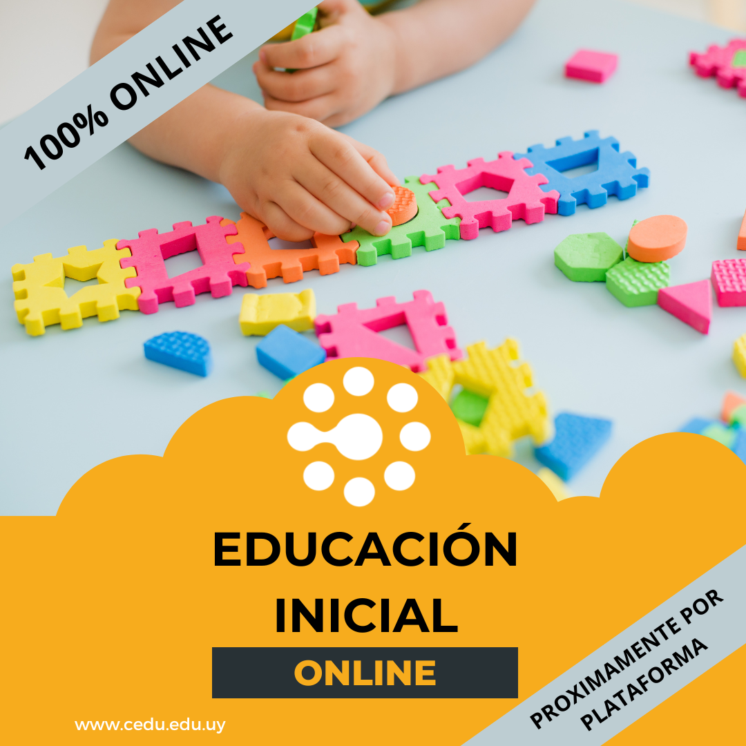 Educación Inicial (online)