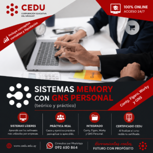Sistemas Memory con GNS Personal