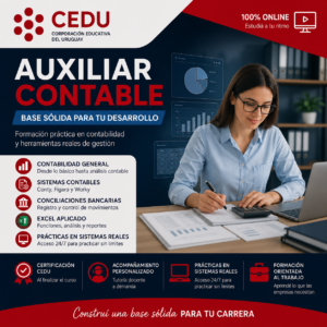 Auxiliar Contable (Con Sistemas Memory)